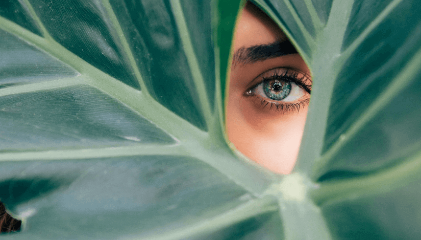 A close-up of one eye looking out through a gap in a large green leaf