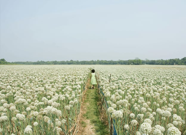 person walking in a field at peace after therapy at Counseling and Nature Therapy Center