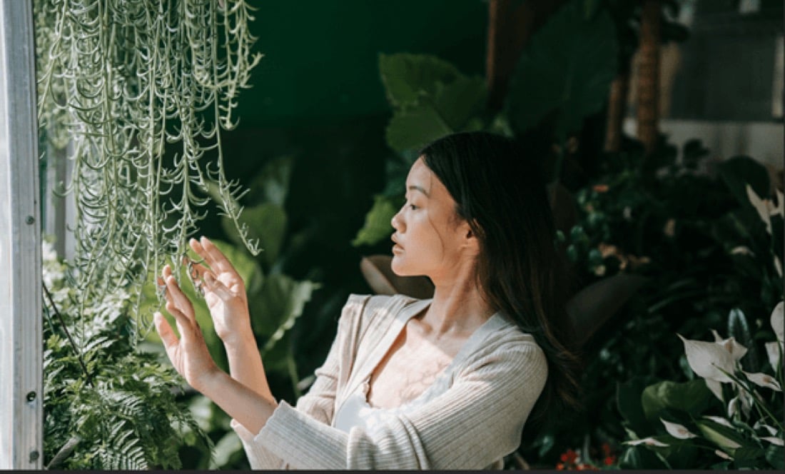 A woman touching hanging string lights beside a window in a room full of plants