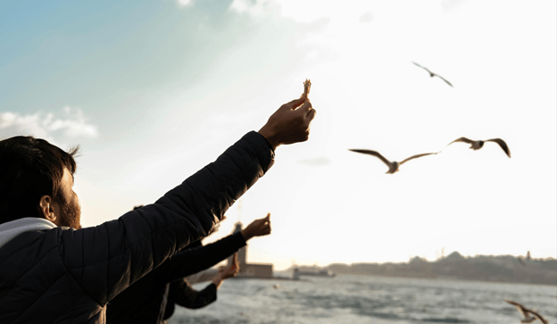 A person at a waterside at dusk with both arms raised toward gulls in flight